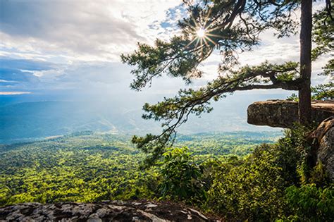 The Phu Kradueng National Park: A Dramatic Limestone Wonderland Awaiting Exploration!